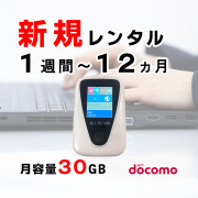 JT201,ドコモ,30GB,サムネ,1週間