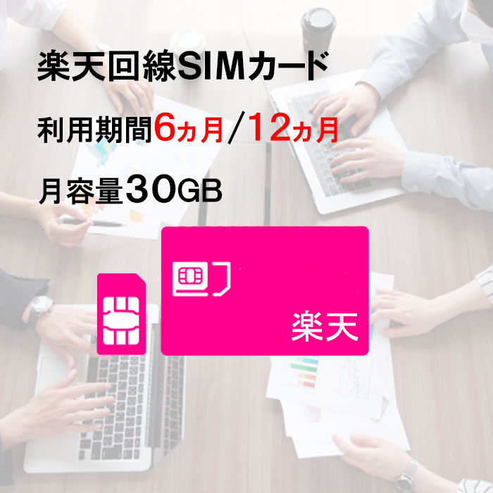 SIMカード,楽天,サムネイル,30GB