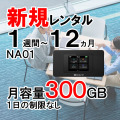 NA01,新規レンタル,サムネイル