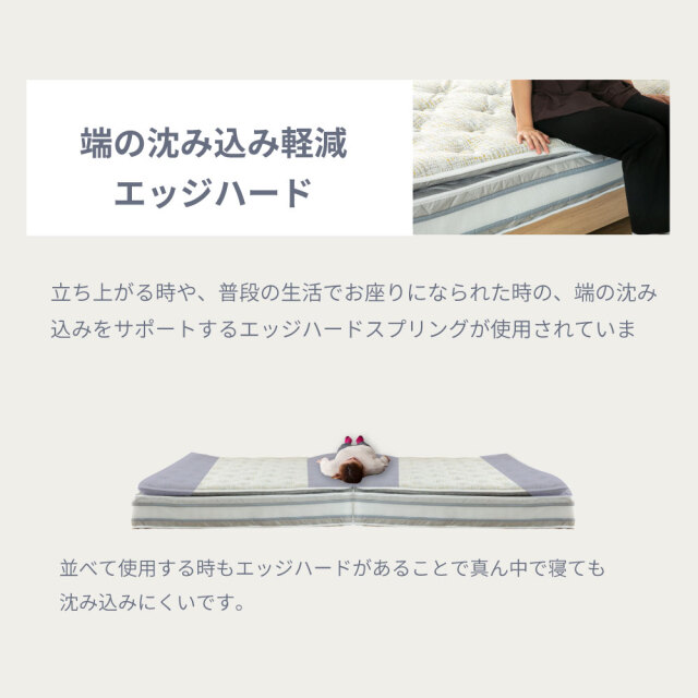 咲夜NoWay! 源ベッド最上クラス 新発売 ピロートップ 6.7インチ 8.5巻