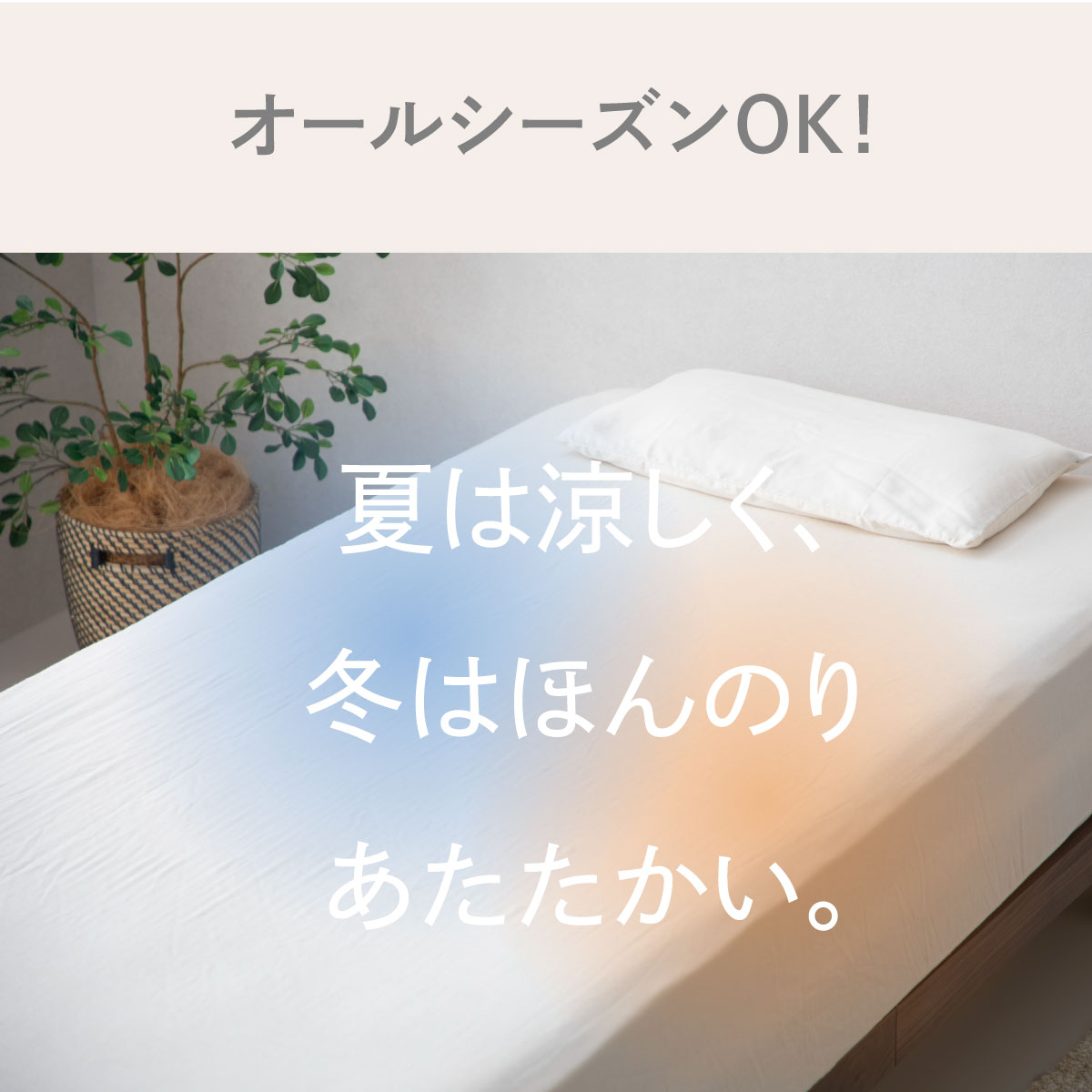 和さらし 二重ガーゼ ボックスシーツ 日本製 綿100% やわらか 通気性