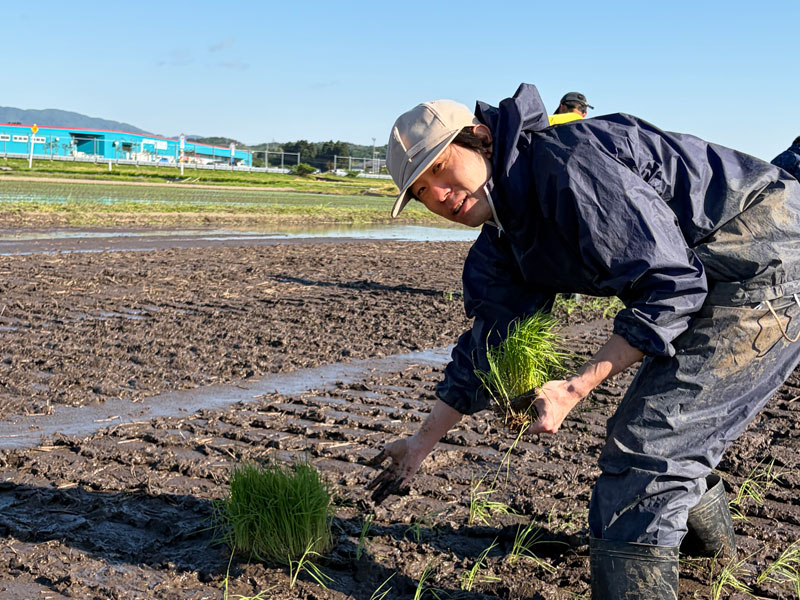 2026田植え