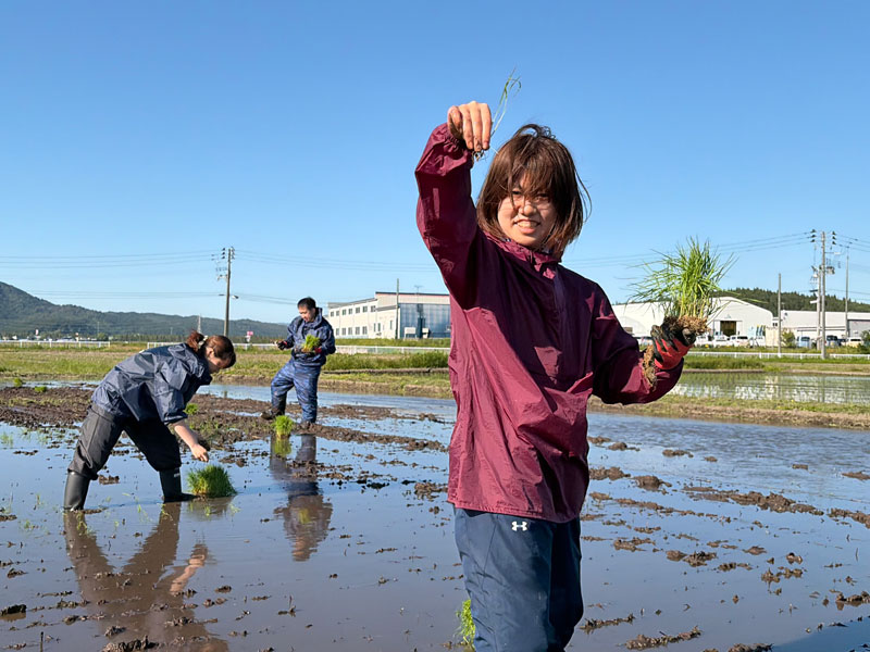 2026田植え