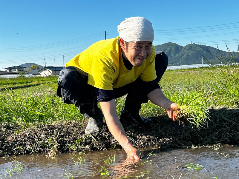 2026田植え