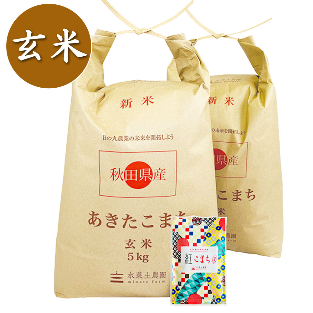 【玄米】秋田県産 農家直送 あきたこまち 10kg(5kg×2袋) 子どもに食べさせたいお米 古代米付き 令和7年産