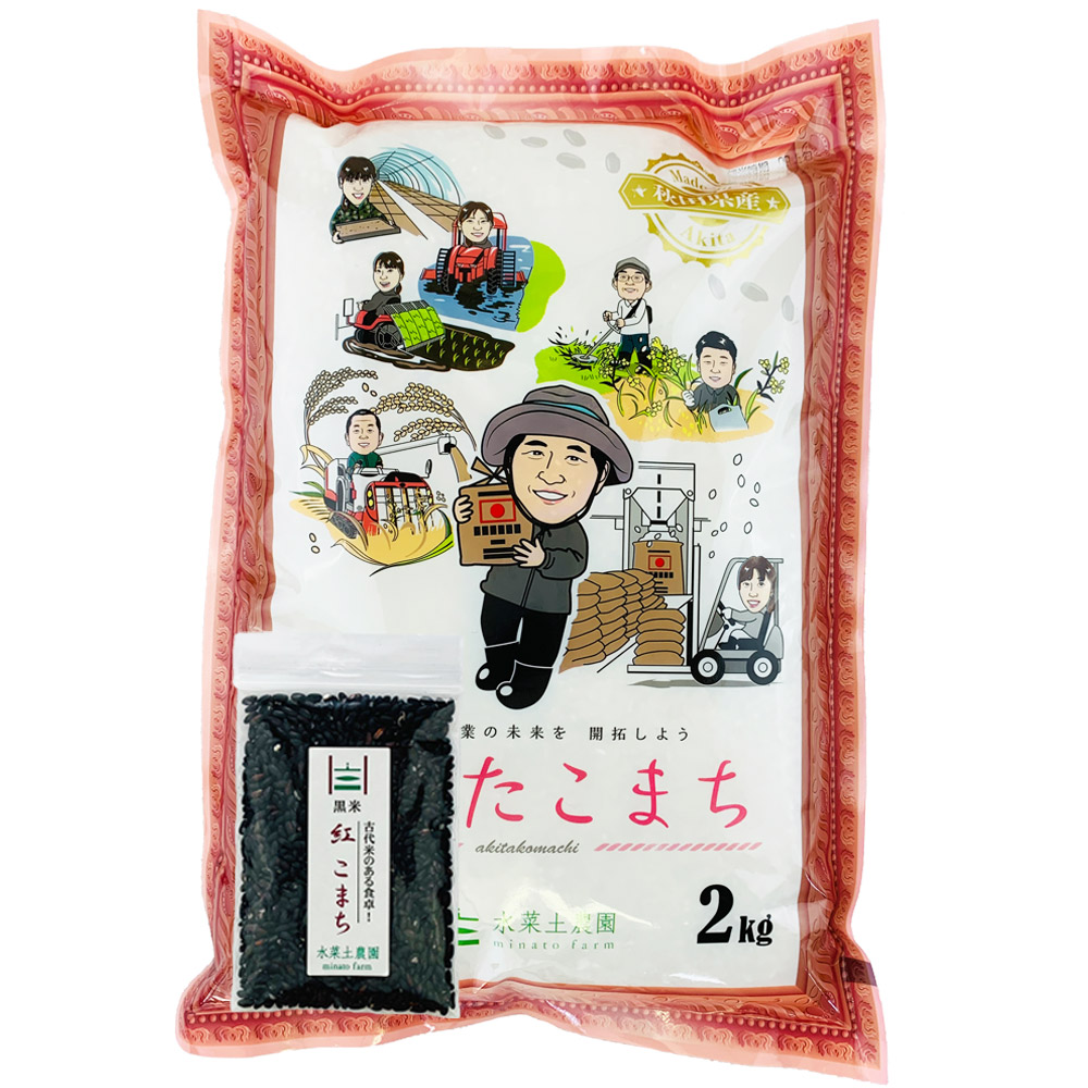 令和4年あきたこまち30k 令和4年産「秋田県産1等米あきたこまち 玄米30kg」豊嶋満商店