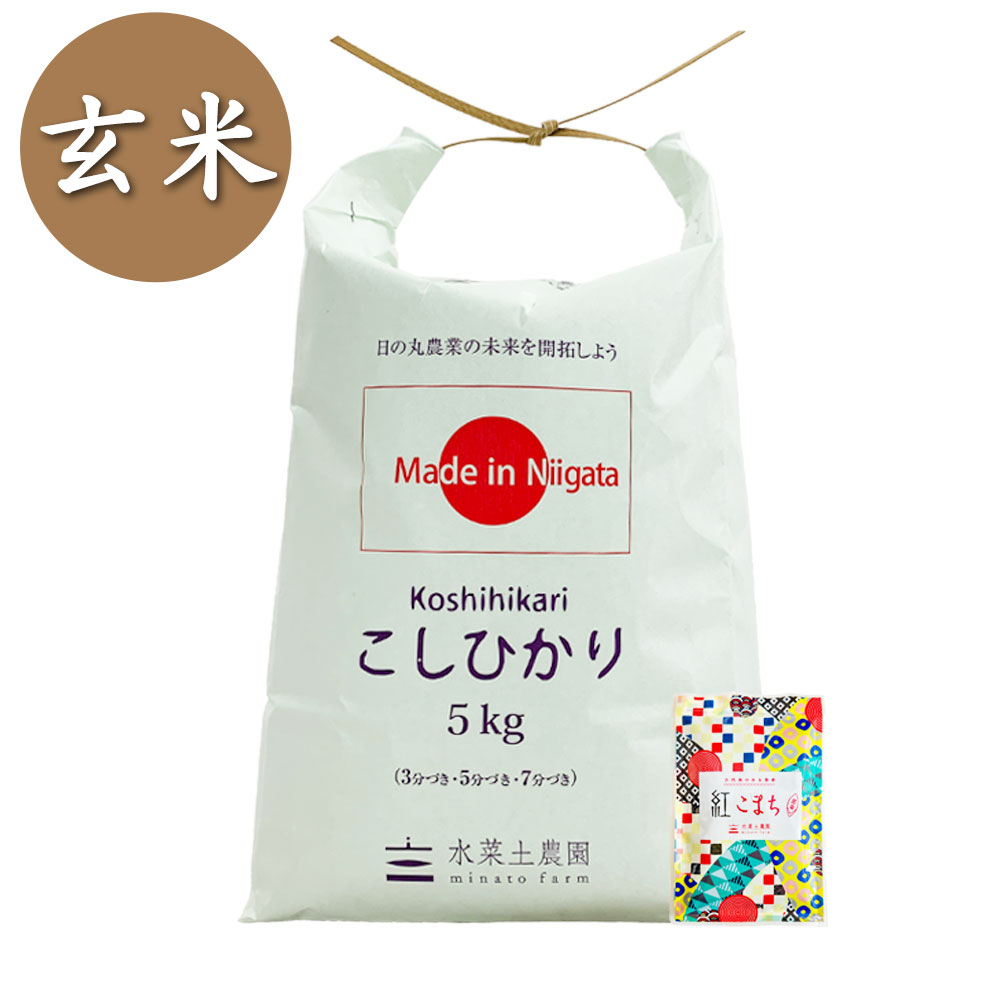 新米 令和7年産【玄米】新潟県産 こしひかり 5kg 子どもに食べさせたいお米 古代米付き