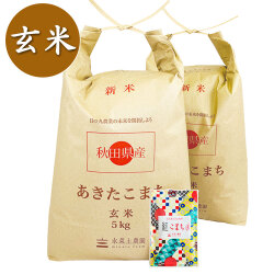 【玄米】秋田県産 農家直送 あきたこまち 10kg(5kg×2袋) 子どもに食べさせたいお米 古代米付き 令和7年産