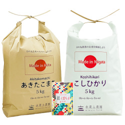 【精米セット】 秋田県産 あきたこまち 5kg & 新潟県産 こしひかり 5kg 古代米付き 令和7年産