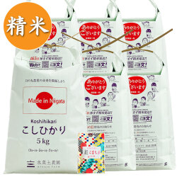 【定期便】 新潟県産 農家直送 こしひかり 精米30kg（5kg×6袋） 子どもに食べさせたいお米 古代米付き
