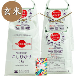 【玄米】新潟県産 こしひかり 20kg（5kg×4袋）子どもに食べさせたいお米 古代米付き 令和7年産