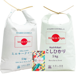 【精米セット】 秋田県産 ミルキークイーン 5kg & 新潟県産 こしひかり 5kg 古代米付き 令和7年産