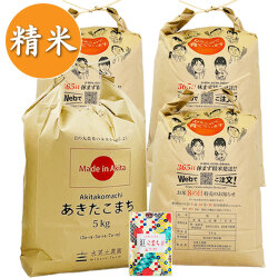 【精米】秋田県産 農家直送 あきたこまち 20kg(5kg×4袋) 子どもに食べさせたいお米 古代米付き 令和7年産