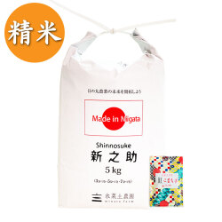 【精米】新潟県産 新之助 5kg 子どもに食べさせたいお米 令和7年産 古代米付き