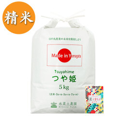 【定期便】 山形県産 農家直送 つや姫 精米5kg 子どもに食べさせたいお米 古代米付き