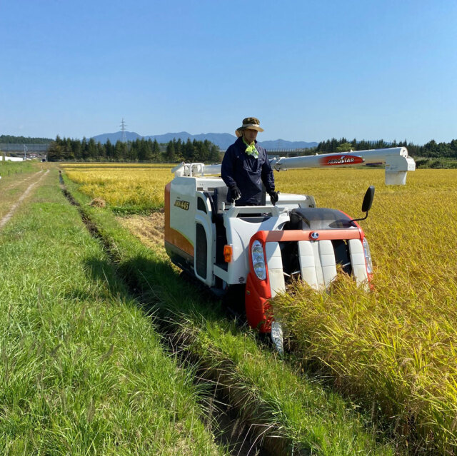 新米【精米セット】 令和7年産 秋田県産 あきたこまち 5kg