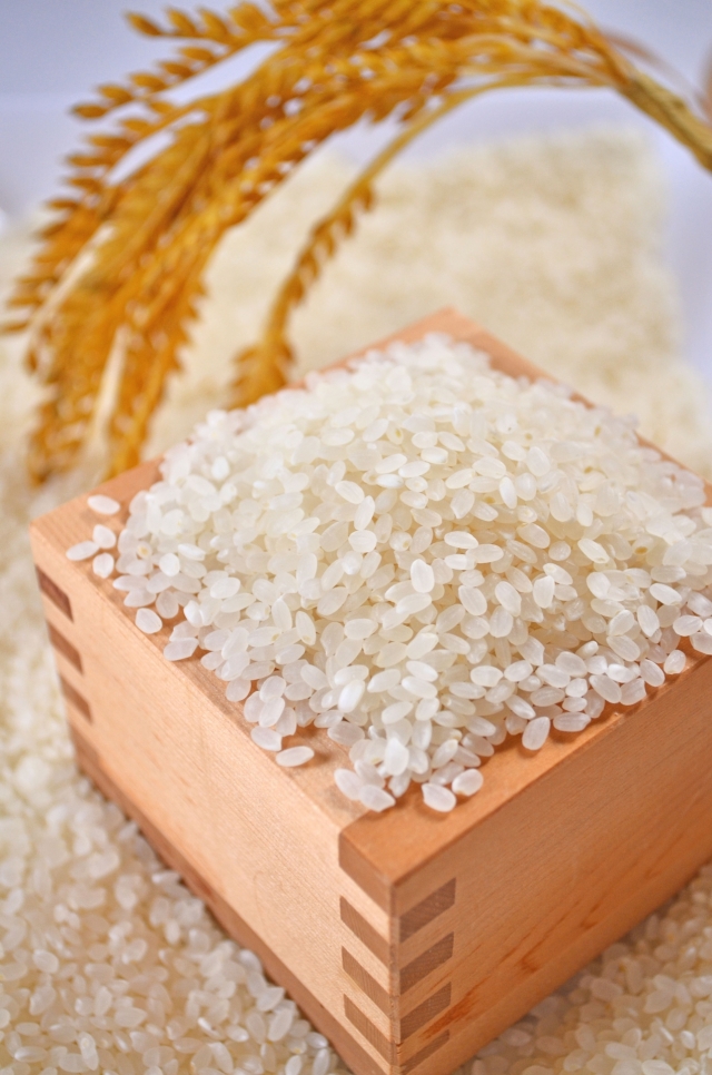 ＼楽天スーパーSALE／北海道産 ななつぼし【白米/無洗米と内容量が選べる10kg~30kg】 北海道産 選べる 白米 無洗米 令和6年産 単一原料米 送料無料 精米工場からの直送品 北海道産ななつぼし極 白米10kg 通販｜旭川.com 商品詳細｜旭川.com