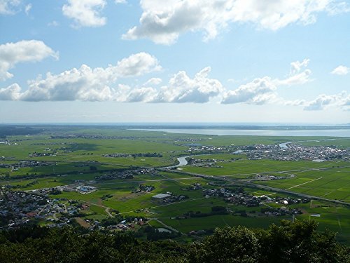 青森県産　まっしぐら　精米済み　15キロ 楽天市場】無洗米玄米 スマート米 青森県黒石産 まっしぐら 30kg