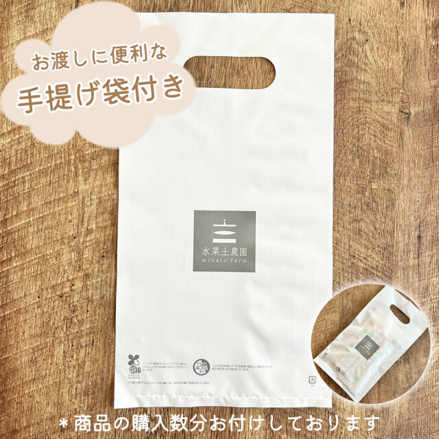 お米のプチギフト】お米 2合(300g) プレゼント 引っ越し 挨拶 名