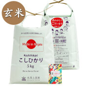 【玄米】新潟県産 こしひかり 10kg（5kg×2袋）子どもに食べさせたいお米 古代米付き 令和7年産