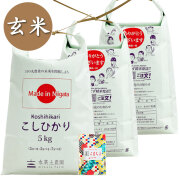 【玄米】新潟県産 こしひかり 15kg（5kg×3袋）子どもに食べさせたいお米 古代米付き 令和7年産