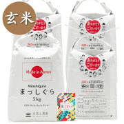 【玄米】青森県産 まっしぐら 20kg（5kg×4袋） 子どもに食べさせたいお米 古代米付き 令和7年産
