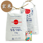 【玄米】北海道産 ななつぼし 10kg（5kg×2袋）子どもに食べさせたいお米 令和7年産 古代米付き