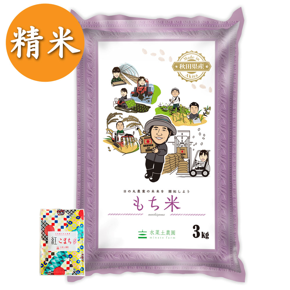 【もち米】秋田県産 農家直送 きぬのはだ 精米 3kg 古代米付き 令和7年産