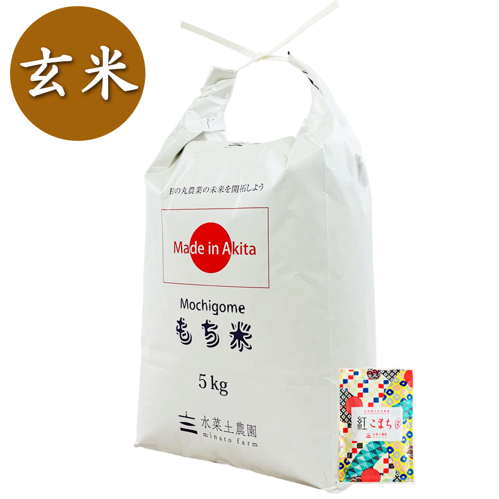【もち米】秋田県産 農家直送 きぬのはだ 玄米 5kg 古代米付き 令和7年産