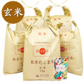 新米 令和7年産【玄米】秋田県産 農家直送 あきたこまち 25kg(5kg×5袋) 子どもに食べさせたいお米 古代米付き