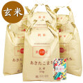 新米 令和7年産【玄米】秋田県産 農家直送 あきたこまち 30kg(5kg×6袋) 子どもに食べさせたいお米 古代米付き