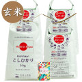 【玄米】新潟県産 こしひかり 20kg（5kg×4袋）子どもに食べさせたいお米 令和5年産 古代米付き