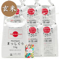 新米 令和7年産【玄米】青森県産 まっしぐら 30kg（5kg×6袋） 子どもに食べさせたいお米 古代米付き