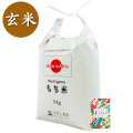 新米 令和7年産【もち米】秋田県産 農家直送 きぬのはだ 玄米 5kg 古代米付き
