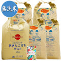 新米 令和7年産【無洗米】秋田県産 農家直送 あきたこまち 25kg(5kg×5袋) 子どもに食べさせたいお米 古代米付き