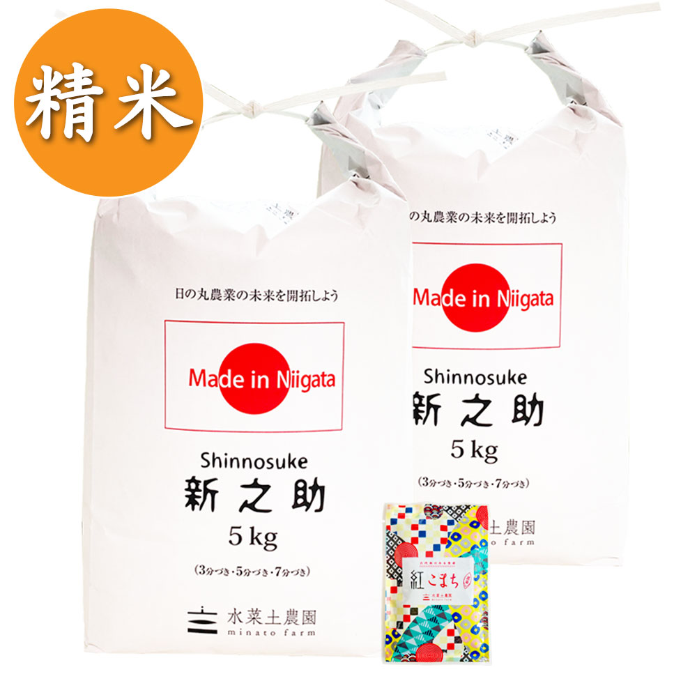 【精米】新潟県産 新之助 10kg（5kg×2袋）子どもに食べさせたいお米 令和7年産 古代米付き