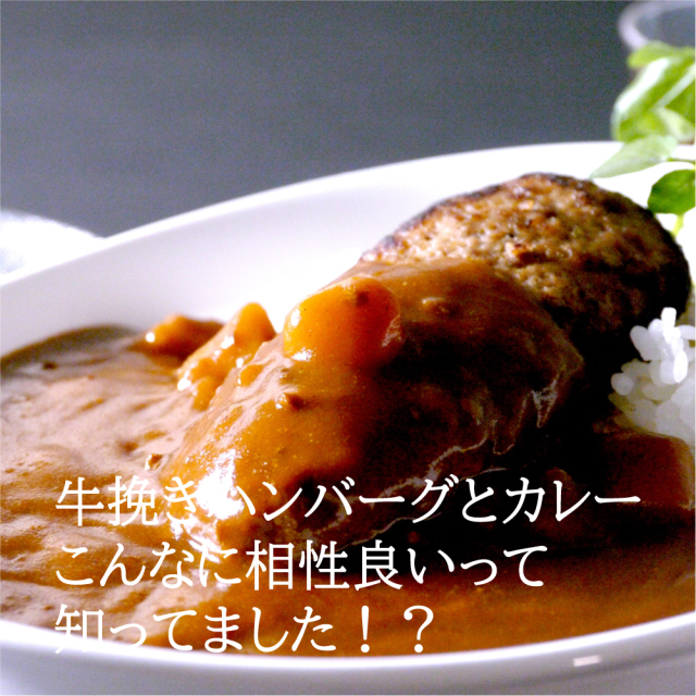 カレーは冷凍でも美味しいマインズハンバーグカレーがおすすめ！