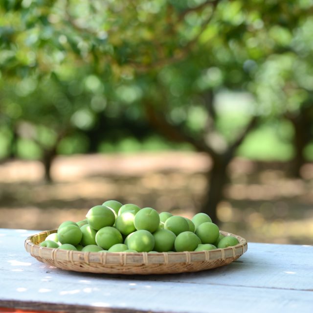 通販限定！送料弊社負担・特別価格】人気の甘酒（蔵仕込みあまざけ