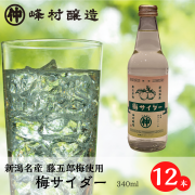 【新潟市名産 藤五郎梅使用】 梅サイダー 12本セット