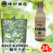 新潟市名産 藤五郎梅使用】 梅サイダー 12本セット