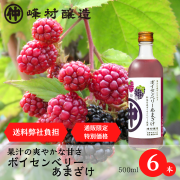 ボイセンベリーの爽やかな甘さ「ボイセンベリーあまざけ500ml 」x6本【送料当社負担・通販限定特別価格】【数量限定】