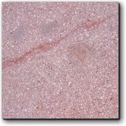 奇跡の石　医王石 A-0175 奇跡の石 医王石 A-0175 奇跡の石 医王石 A-0175