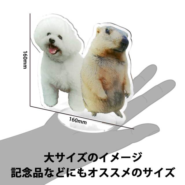 即納可能】1枚から作れる 自分でデザイン アクリル スタンド 大