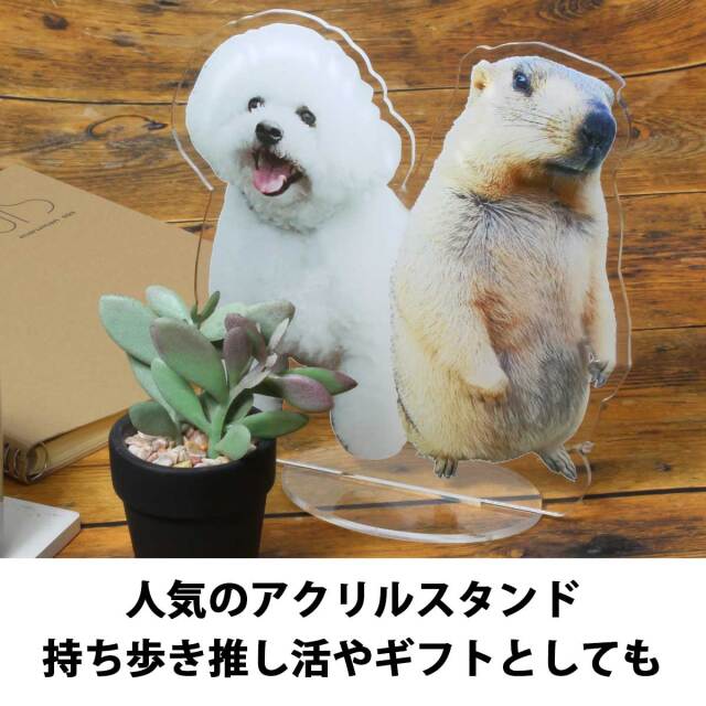 アクスタ 専用ページ 即納可能】1枚から作れる 自分でデザイン アクリル スタンド 大