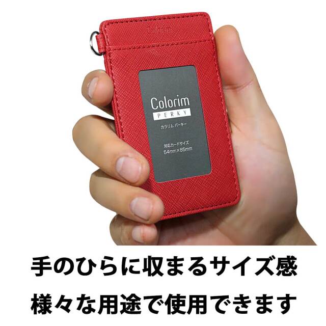 【未使用品】デザインPASMO＆パスケースセット 楽天市場】送料無料 フラグメントケース レディース パスケース