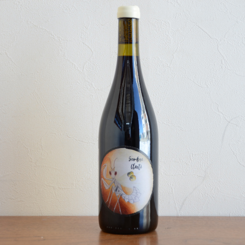 オキシモア/ソンブル・クラルテ2024年