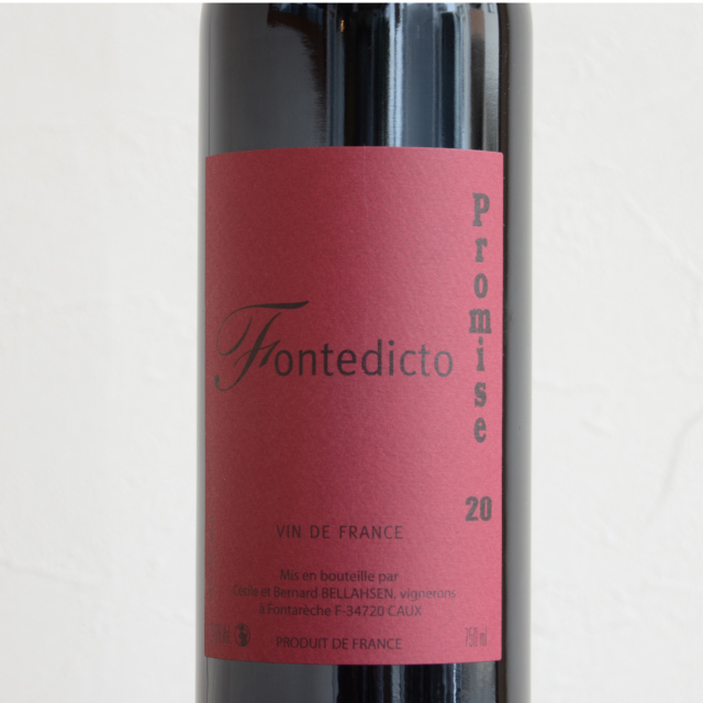 フォンテディクト/プロミス20