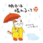 ねこのメッセージ付きティーバッグ（3包入）【クリックポスト送料無料】/明日は晴れるって