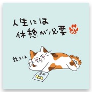 ねこのメッセージ付きティーバッグ（3包入）【クリックポスト送料無料】/人生には休憩が必要