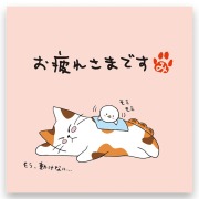 ねこのメッセージ付きティーバッグ（3包入）【クリックポスト送料無料】/お疲れさまです